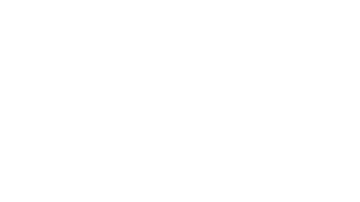 Sputnik Órbita